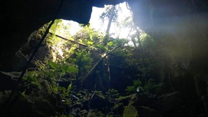 New cave discovered in Cha Noi forest