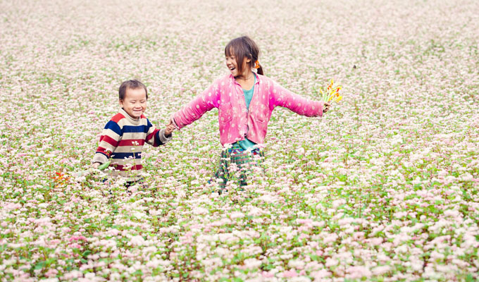 Ouverture de la fête des fleurs de sarrasin à Ha Giang