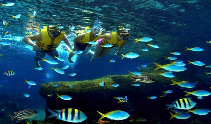 Du lịch: Cam kết bảo vệ hệ sinh thái dưới nước
