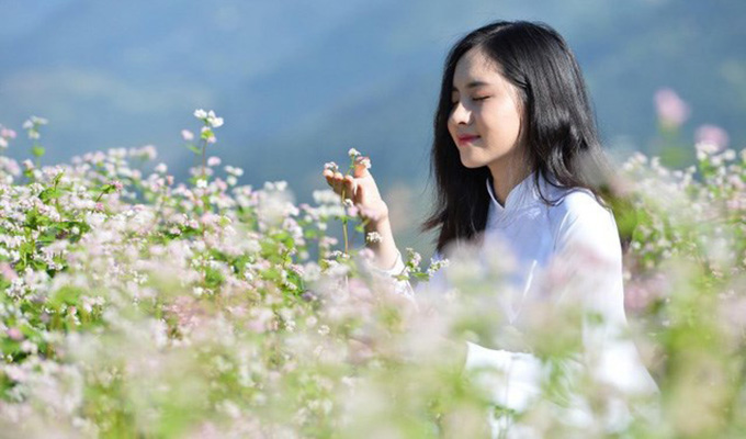 Sélection de la Miss "fleurs de sarrasin d’Ha Giang"