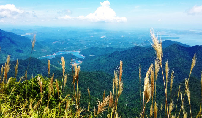 National Park draws visitors to Thua Thien – Hue