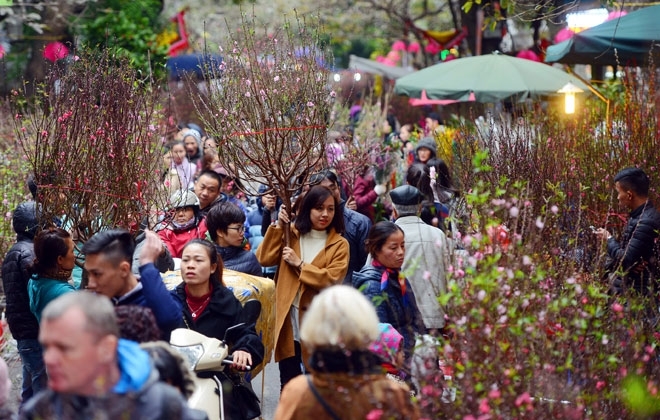 Ha Noi to open 51 spring flower markets ahead of Tet