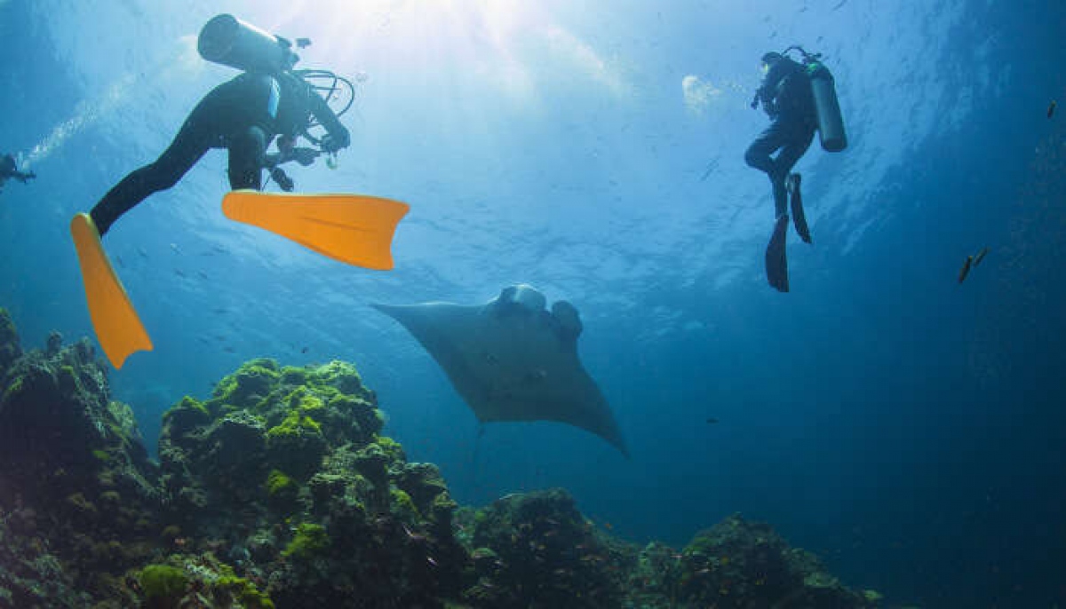 Traveldudes suggests best places for scuba diving in Vietnam