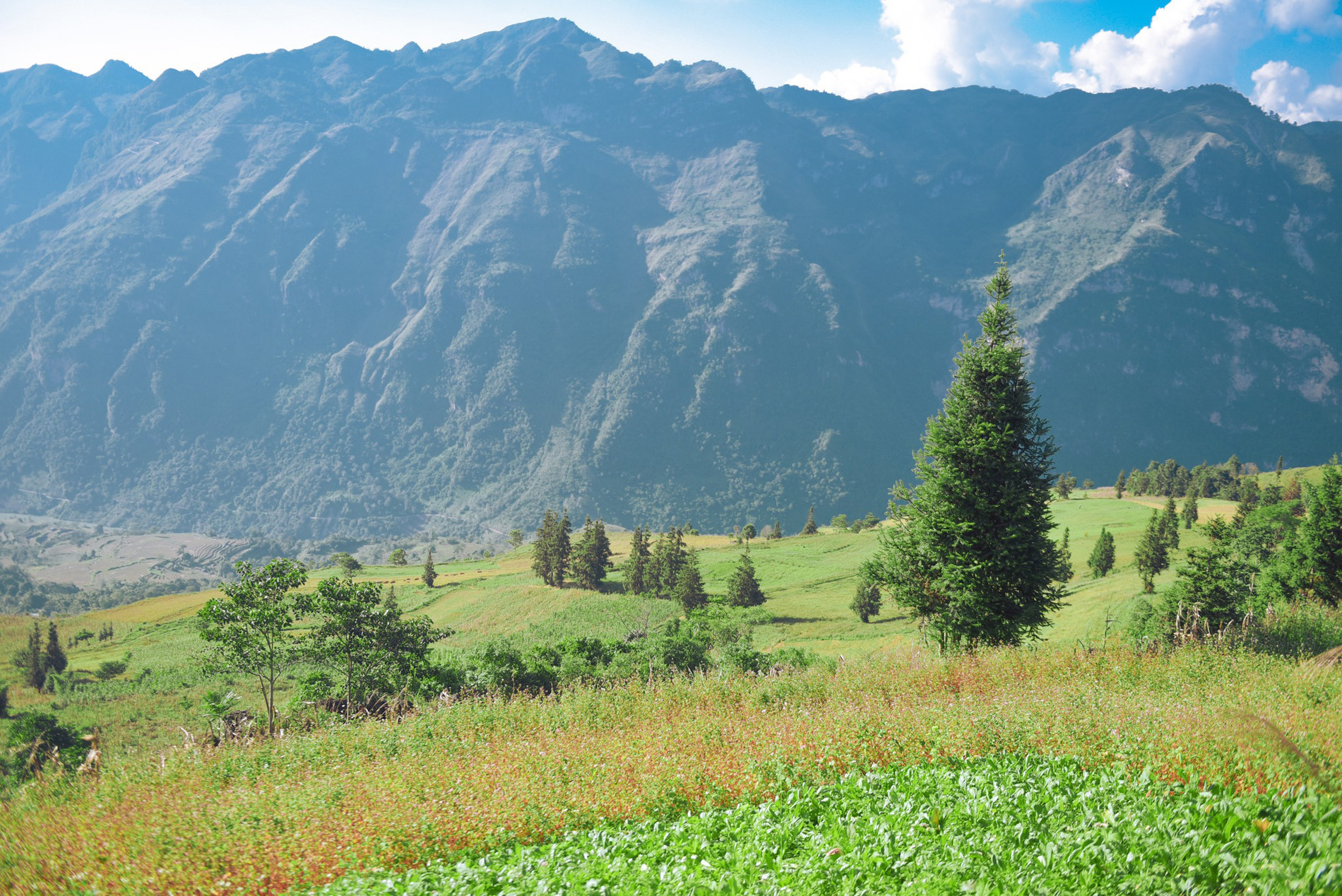 Captivating Ha Giang: Discover Suoi Thau Plateau for an affordable escape