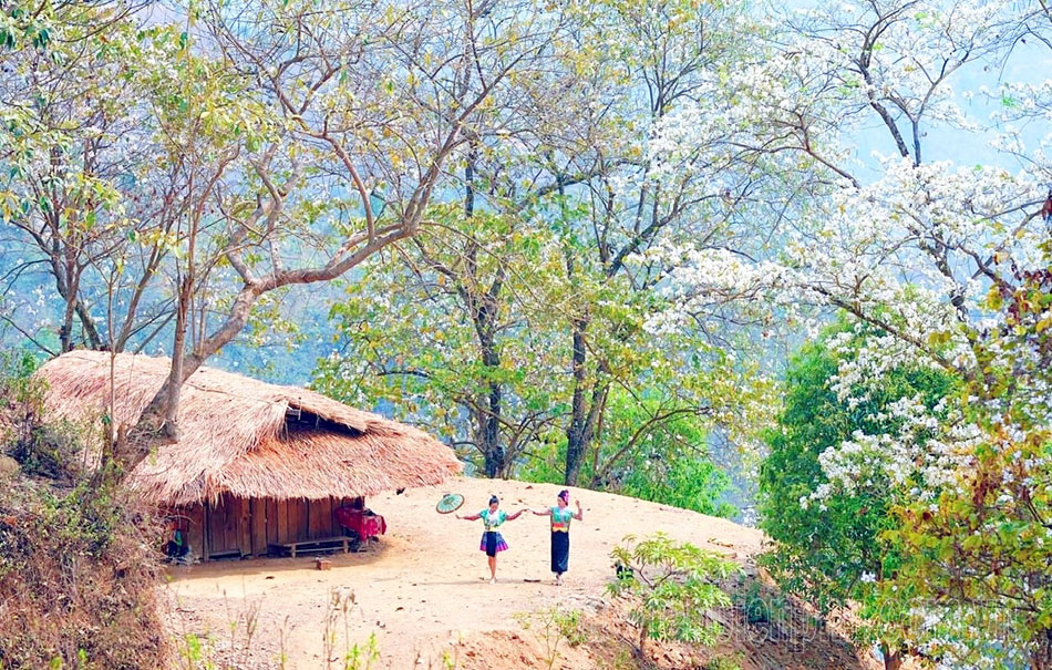 Dien Bien boosts community tourism potentials in Nam Cum Village