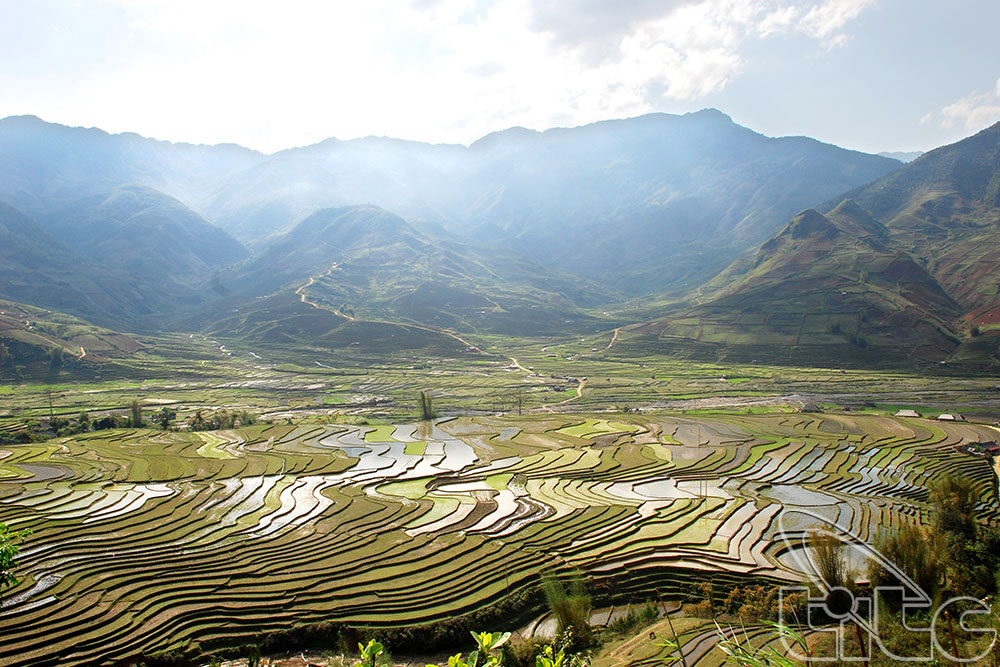 Fantastic terrace rice fields in October