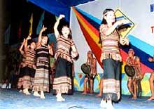 Quang Ngai folk musicians to perform in RoK