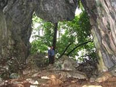 Foreign scientists tour Thanh Hoaâ€™s archaeological sites 