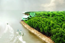 Cham Islands, Ca Mau Cape recognised as global biosphere reserves 