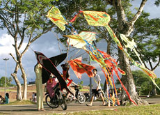 Unique kites welcome capital millennium celebrations