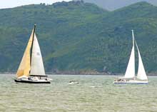 Nha Trang organizes boat race at sea for the first time 