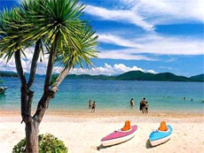 VNAT to survey tourism services for national tourism year 2011 