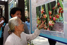 Dynamic Mekong Delta featured in photo exhibition 