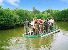 Fishing for crocodiles in Vam Sat Mangrove Forest 