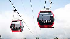 Third Ba Na Hills cable car route to open soon 