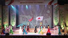 Japan Culture Day opens in Dong Nai