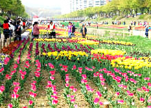 Le Festival des fleurs en célébration du Millénaire de Hanoi