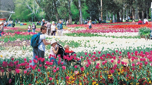 Visiter l’Australie et participer au festival floral Floriade avec Saigontourist