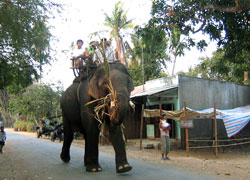 Du lịch Đắk Lắk tăng trưởng khá trong 9 tháng đầu năm 2011
