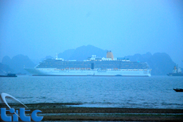 Vịnh Hạ Long đón hơn 4.000 du khách quốc tế bằng đường biển trong 4 ngày