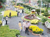 Thành phố Hồ Chí Minh  tổ chức lễ hội hoa đường phố lớn nhất từ trước tới nay 