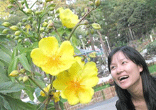 Khai mạc hội hoa xuân Đinh Hợi 2007: Nhiều loại hoa kiểng mới lạ