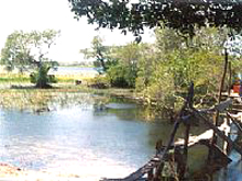 Hồ sinh thái Trà Lộc