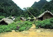 Khám phá rừng quốc gia Xuân Sơn 