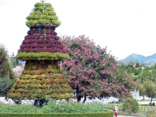 Đà Lạt sẽ trưng bày mảng hoa và tháp hoa trong Festival Hoa 2007