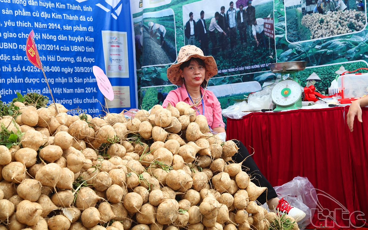 Củ Đậu là đặc sản của tỉnh Hải Dương mang tới Hội chợ