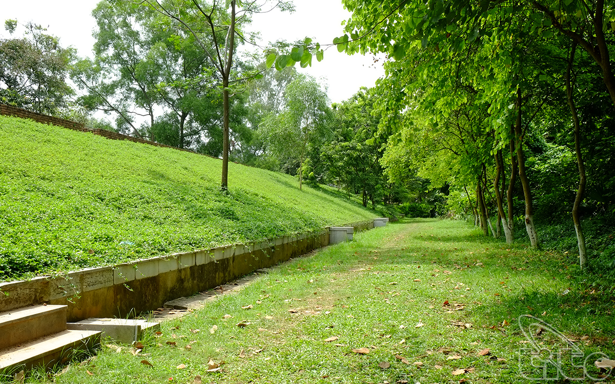 The fresh green space of grass, flowers and leaves inside the wall