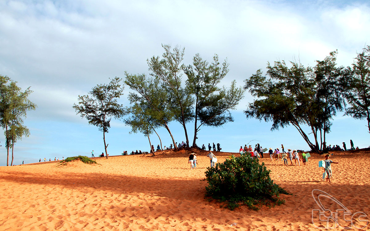 Dunes de sable de Mui Ne sont situées au quartier de Mui Ne, ville de Phan Thiet, province de Binh Thuan