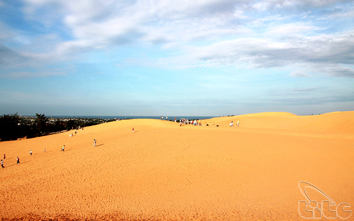 Dunes de sable attirent des visiteurs vietnamiens et étrangers