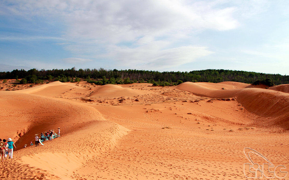 À chaque situation sur les dunes de sable  de Mui Ne, les visiteurs pourront faire des découvertes intéressantes sur la forme, la couleur, le contraste