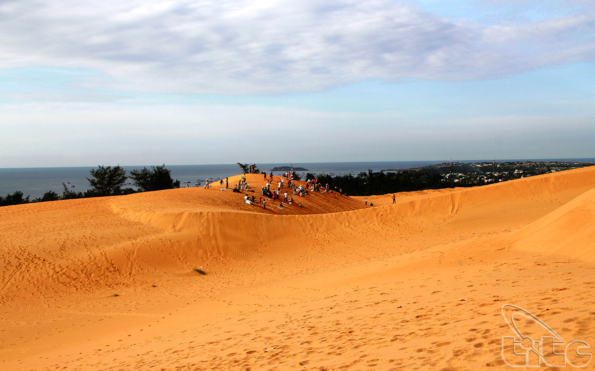 Du sommet de la colline de sable, les visiteurs peuvent facilement admirer Mui Ne et les plages environnantes