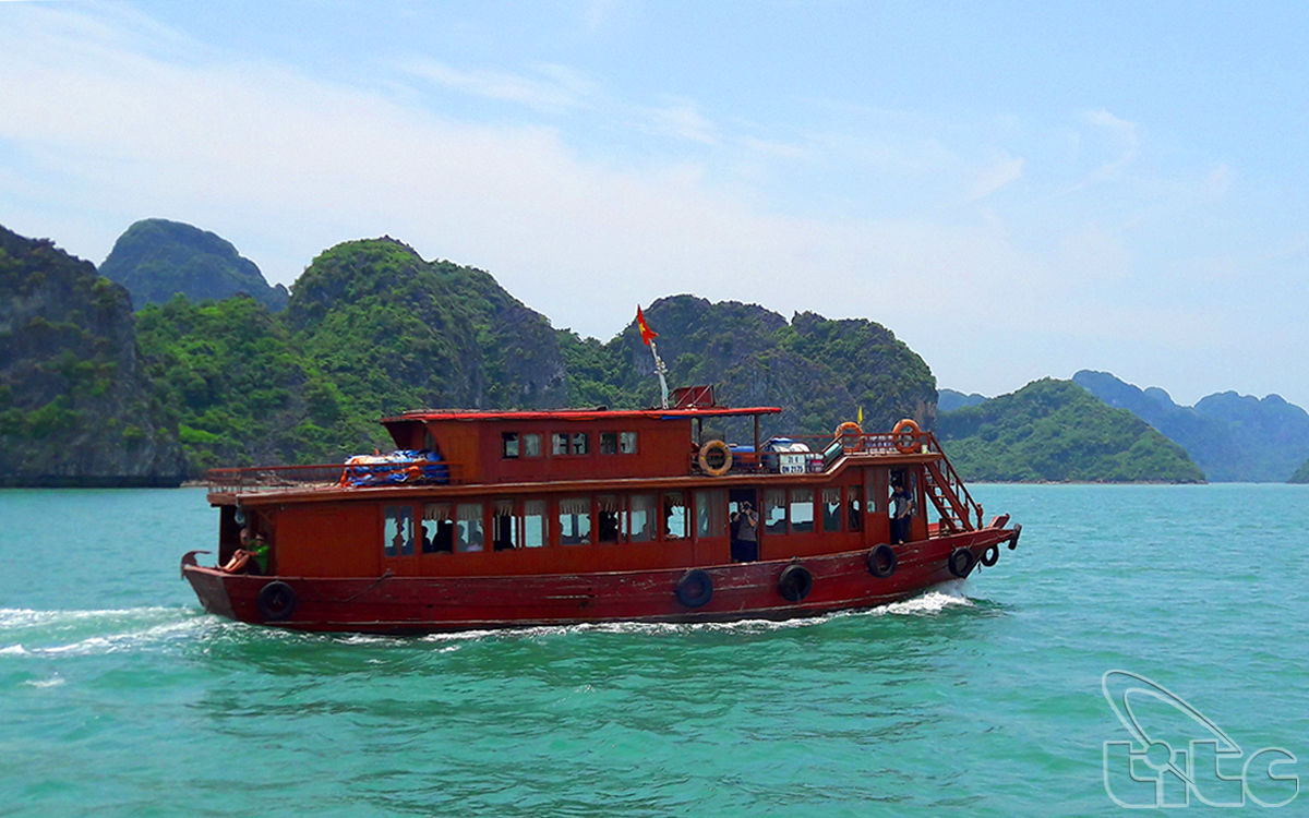 To reach Quan Lan Island, visitors can choose wooden or high-speed boats from Cai Rong Wharf or Hon Gai Wharf